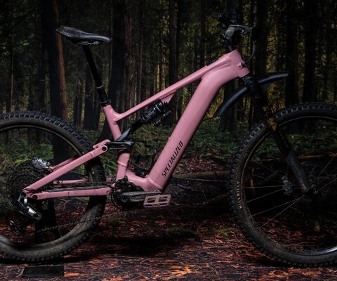 Bike Review | Trek Fuel EX 9.9 XX1 AXS | Freehub Magazine